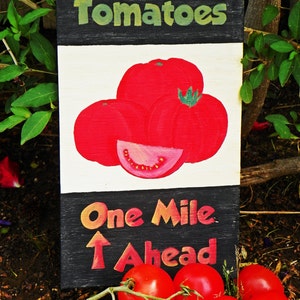 Tomato Advertisement