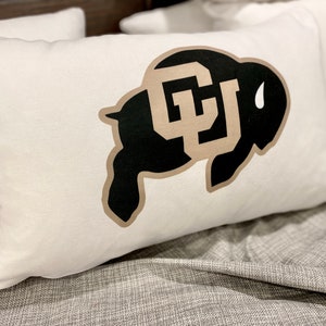 College logo Acceptance pillow Graduation gift University State high school Dorm decor class 2024 Bed student bedroom senior night banquet image 4