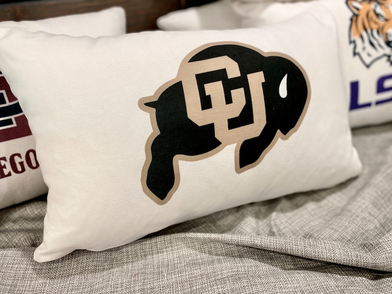 College logo Acceptance pillow Graduation gift University State high school Dorm decor class 2024 Bed student bedroom senior night banquet image 4