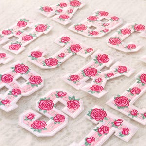 Puede incluir: Letras bordadas en tela blanca, adornadas con diseños florales de rosas rosas. Las letras tienen un contorno blanco y un fondo a rayas rosas. Las rosas son de varios tamaños y tonos de rosa.