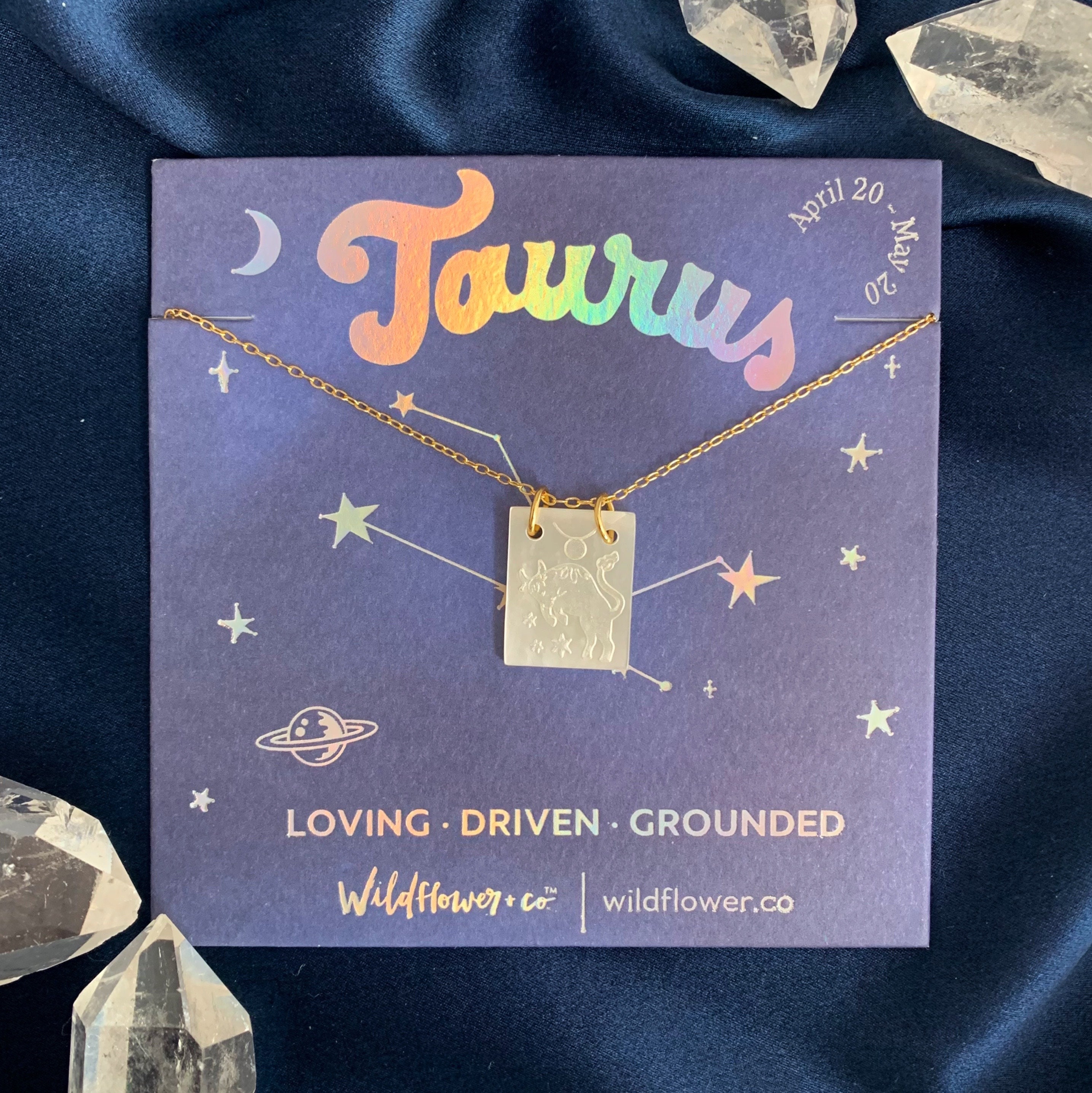 Zodiac Necklace Dainty Gold & Shell Capricorn Aquarius Etsy