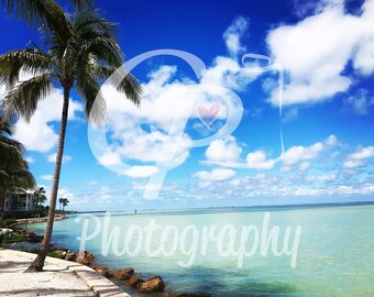 Captiva Island, Florida [tropical, palmeras, decoración del hogar, decoración de oficina, estampados de naturaleza, playa, océano] Impresión 8x10 con estera blanca de 11x14