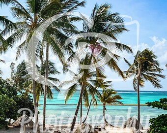 Island Paradise en Cap Cana [tropical, palmeras, puesta de sol, decoración del hogar, decoración de oficina, impresiones de la naturaleza] Impresión 8x10 con estera blanca de 11x14
