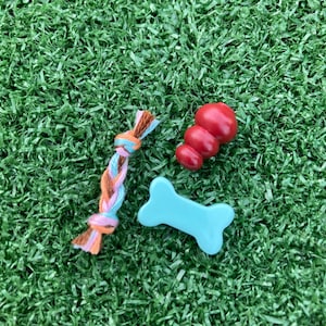 May include: Three dog toys on a green artificial grass surface. A blue plastic bone, a red rubber chew toy, and a braided rope toy with pink, blue, and brown strands.