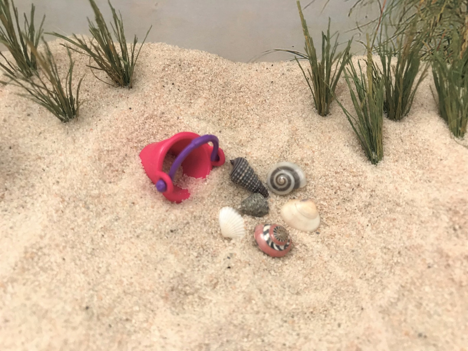 миниатюрный пляж. миниатюрная на пляже. миниатюрный пляж.