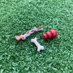 Dollhouse Miniature Dog Bone w/ Rope Chew & Toy Puppy 1" scale 1:12