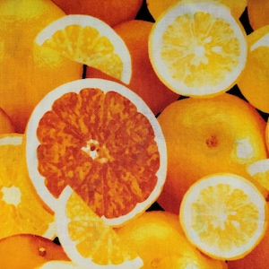 Oranges Tangerine Fruit Farmers Market Cotton Quilt JoAnn Fabric ONE yard only