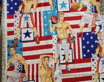 All American Sports Patriotic Pinup Alexander Henry Cotton Quilt Fabric BTY