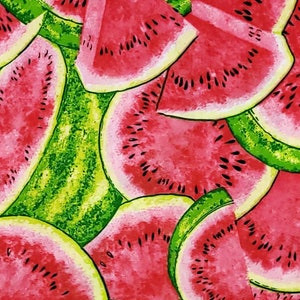 Watermelon Rind Seeds Farmers Market Fruit Picnic Cotton Quilting Fabric BTY