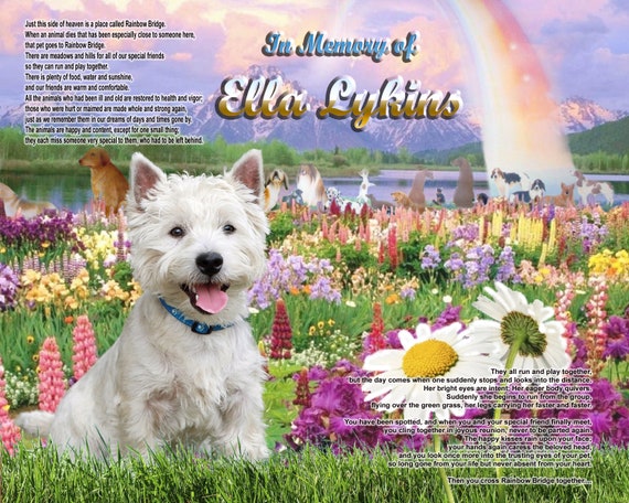 westie memorial stones