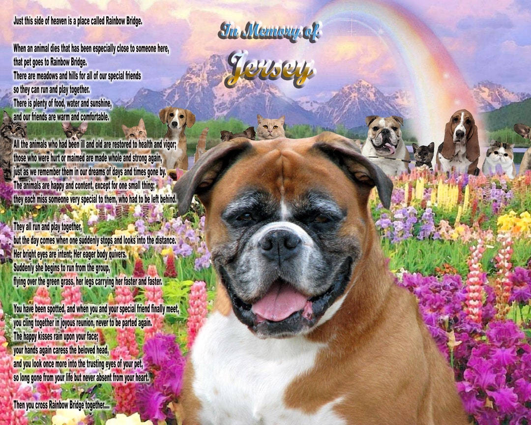 Boxer dog pet memorial keychain - pet keepsake - pet loss key chain - dog  bag charm - rainbow bridge gift - boxer dog jewellery - jewelry