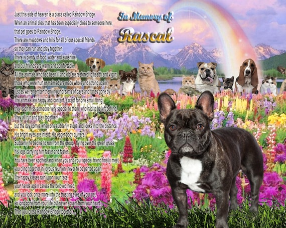 french bulldog memorial