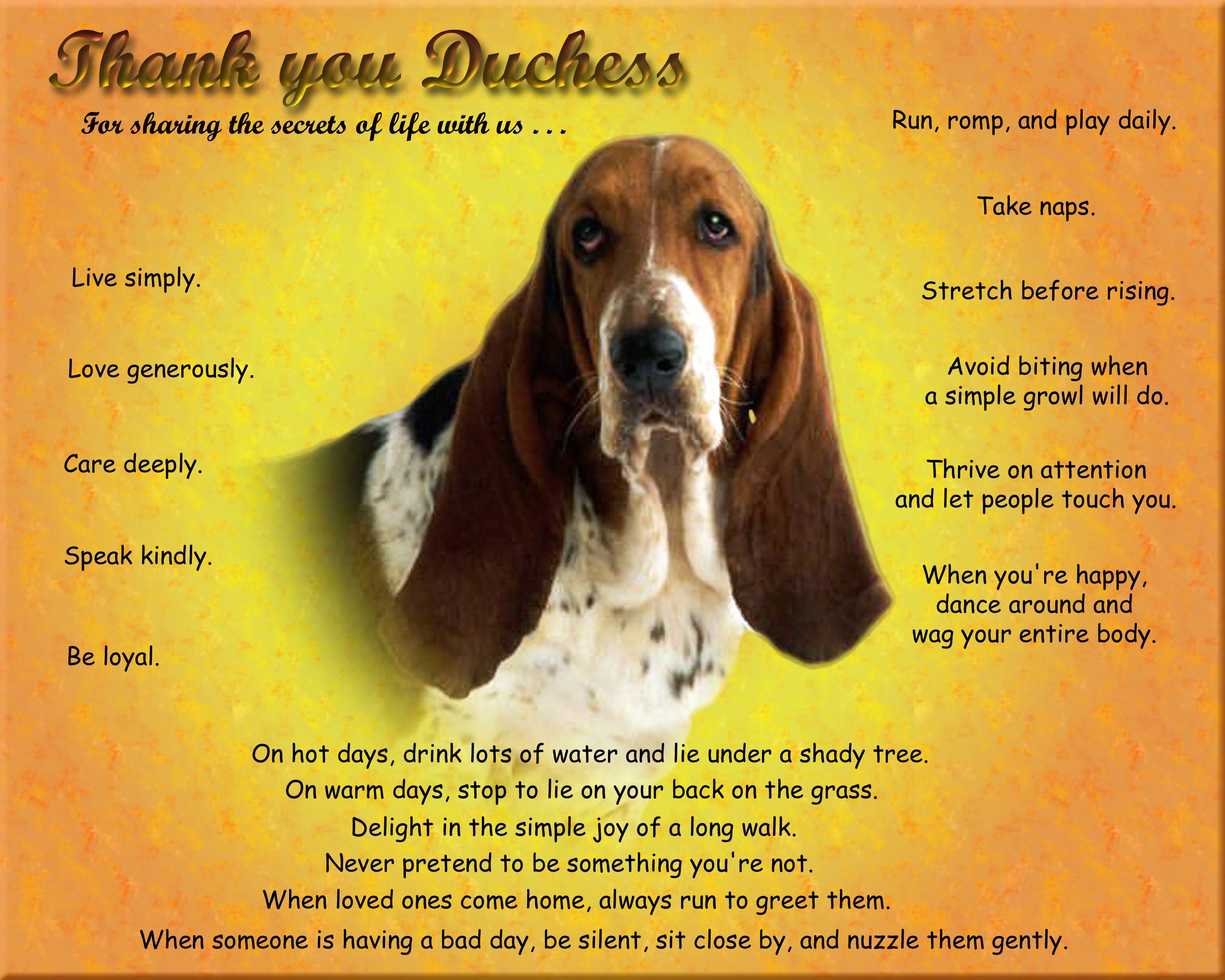 Basset Hound Dog Tribute Memorial Picture Wall Art Personalized W Pet S Name Sunburst