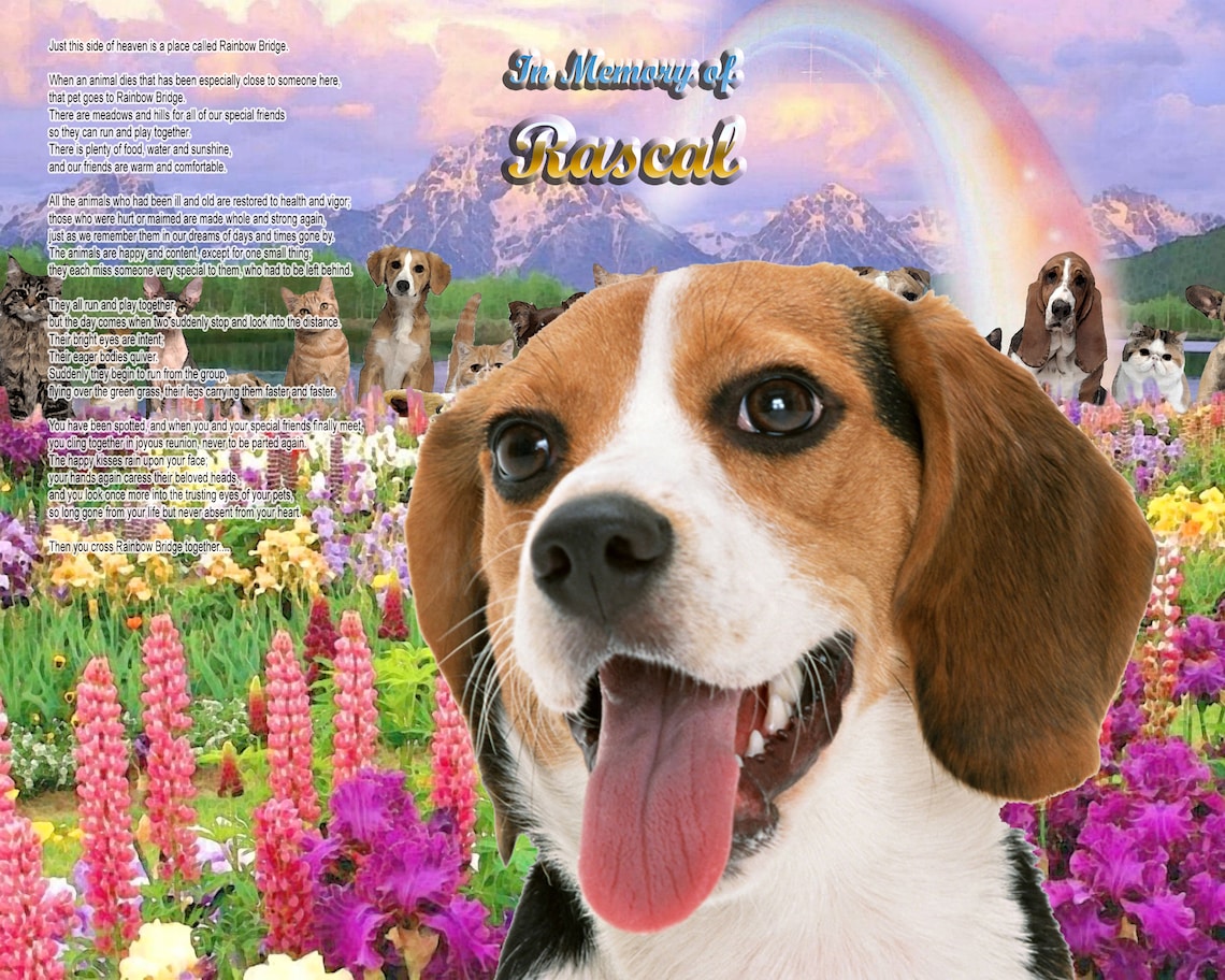 Beagle Dog Memorial at Rainbow Bridge Dog Memorial Etsy