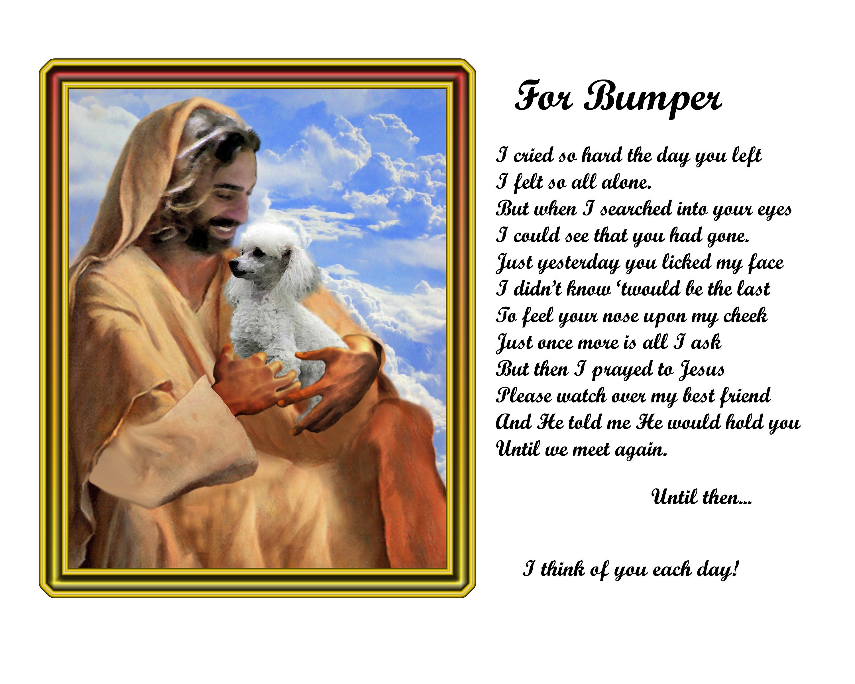 White Toy Poodle Dog Memorial Picture With Jesus and Verse Etsy