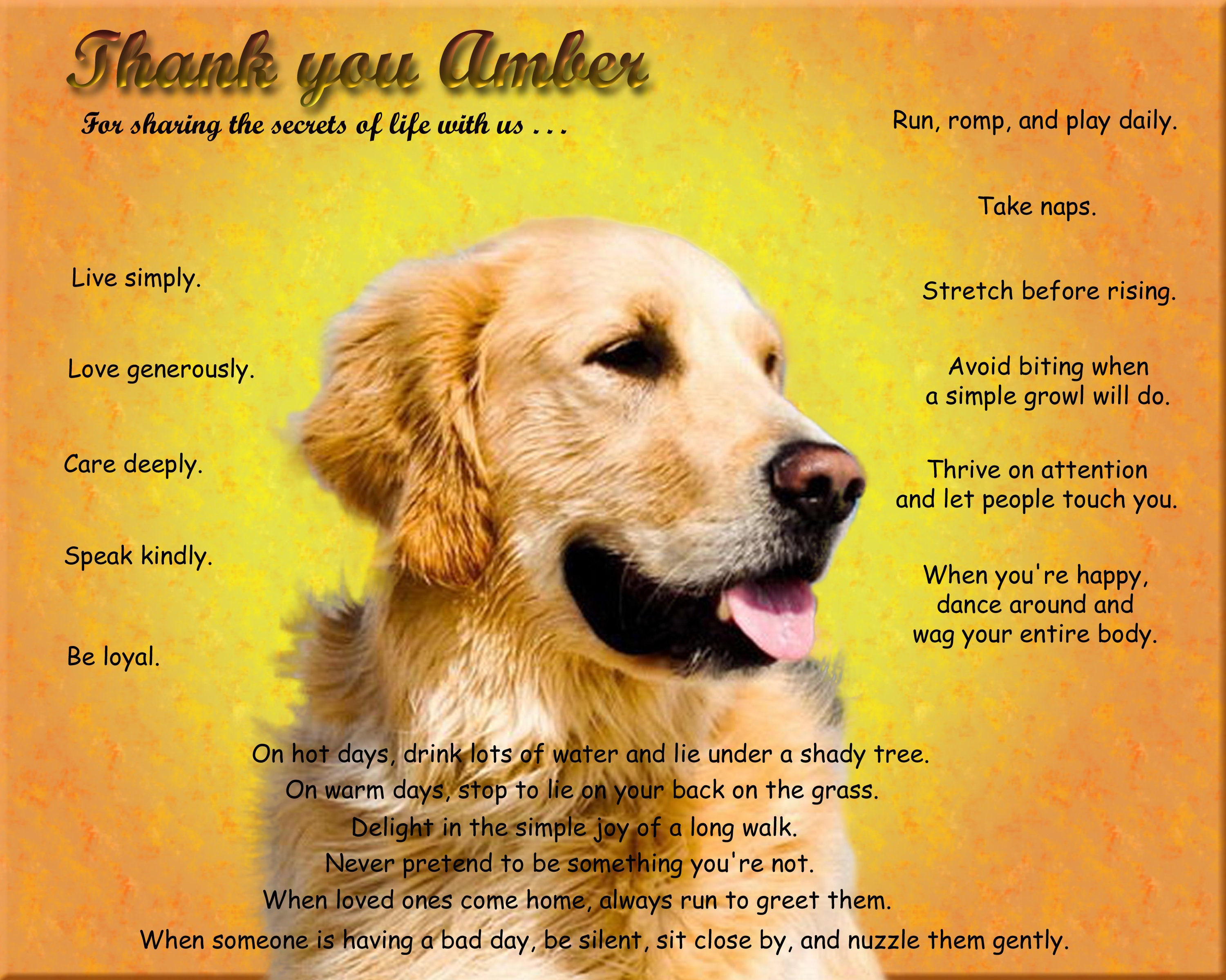 Golden Retriever Dog Tribute Memorial Picture Wall Art Etsy