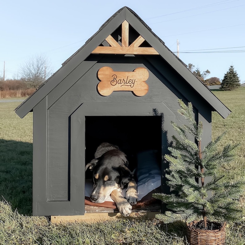 DIY Modern Dog house Plans Outdoor dog house, Wooden dog house, Luxury dog houses, Dog house bed, Puppy dog house, Large/medium dog house image 2