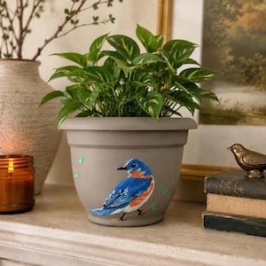 May include: A matte gray plant pot featuring a hand-painted bluebird with bright blue feathers and an orange chest perched on a branch. The pot contains a lush green pothos plant with variegated leaves, creating a vibrant contrast against the neutral gray.
