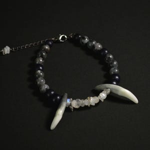 Fang and Moonstone Bracelet