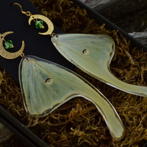 Real Luna Moth Wing Earrings