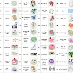 Charms for Floating Glass Locket Pendant Necklace Bracelet Gift