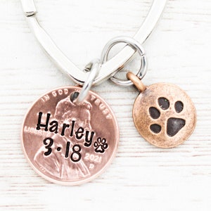 Pet Penny From Heaven Keychain, Dog Memorial Keyring, Loss Of Cat Gift, Dog Remembrance, In Memory Of  Pet, Dog Sympathy, Rainbow Bridge