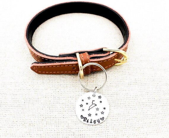 dog collar tag with name