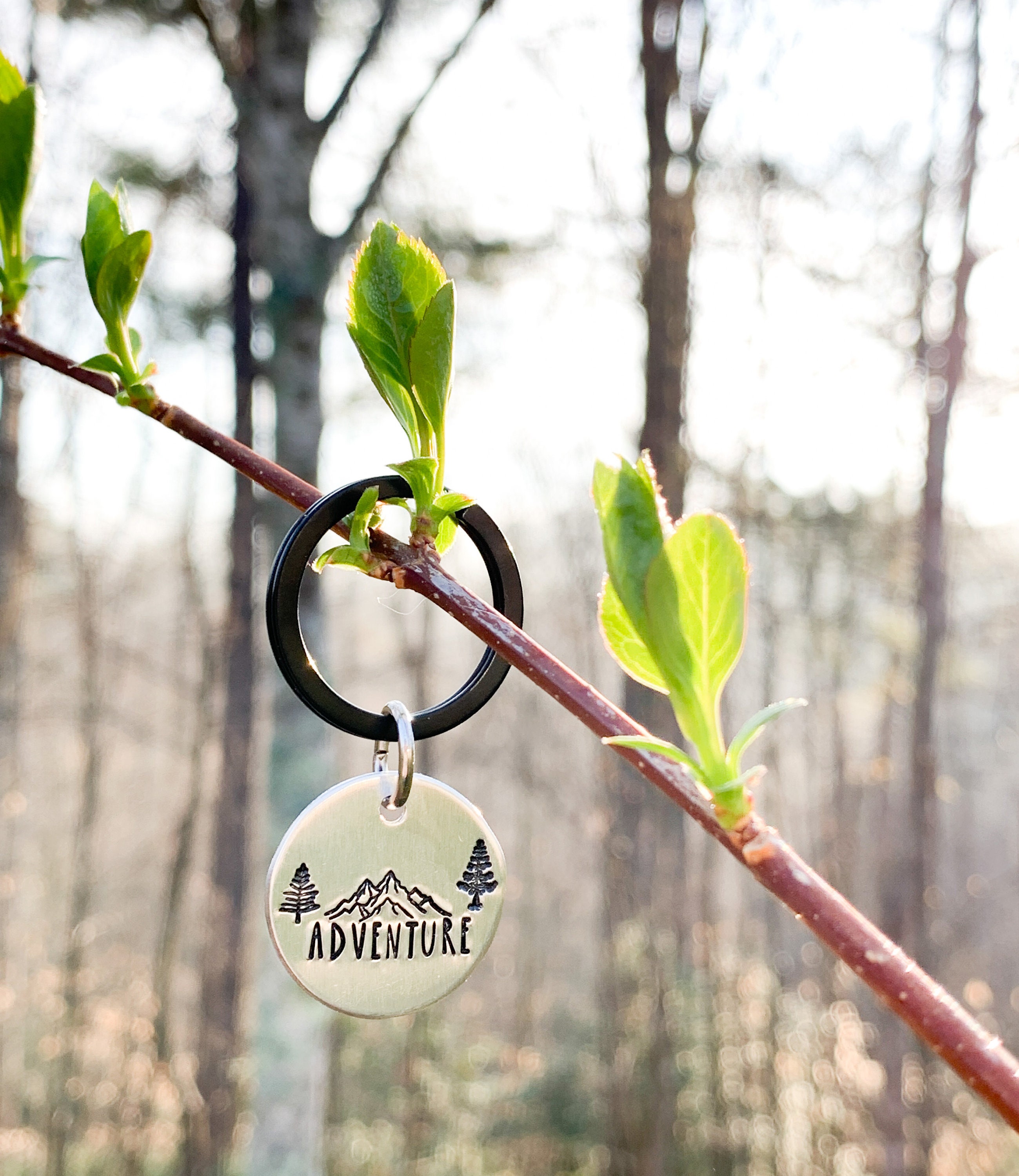 Vail Keychain Adventure Keychain, Mountains Keyring, Hiker Gifts, Mountains Are ...