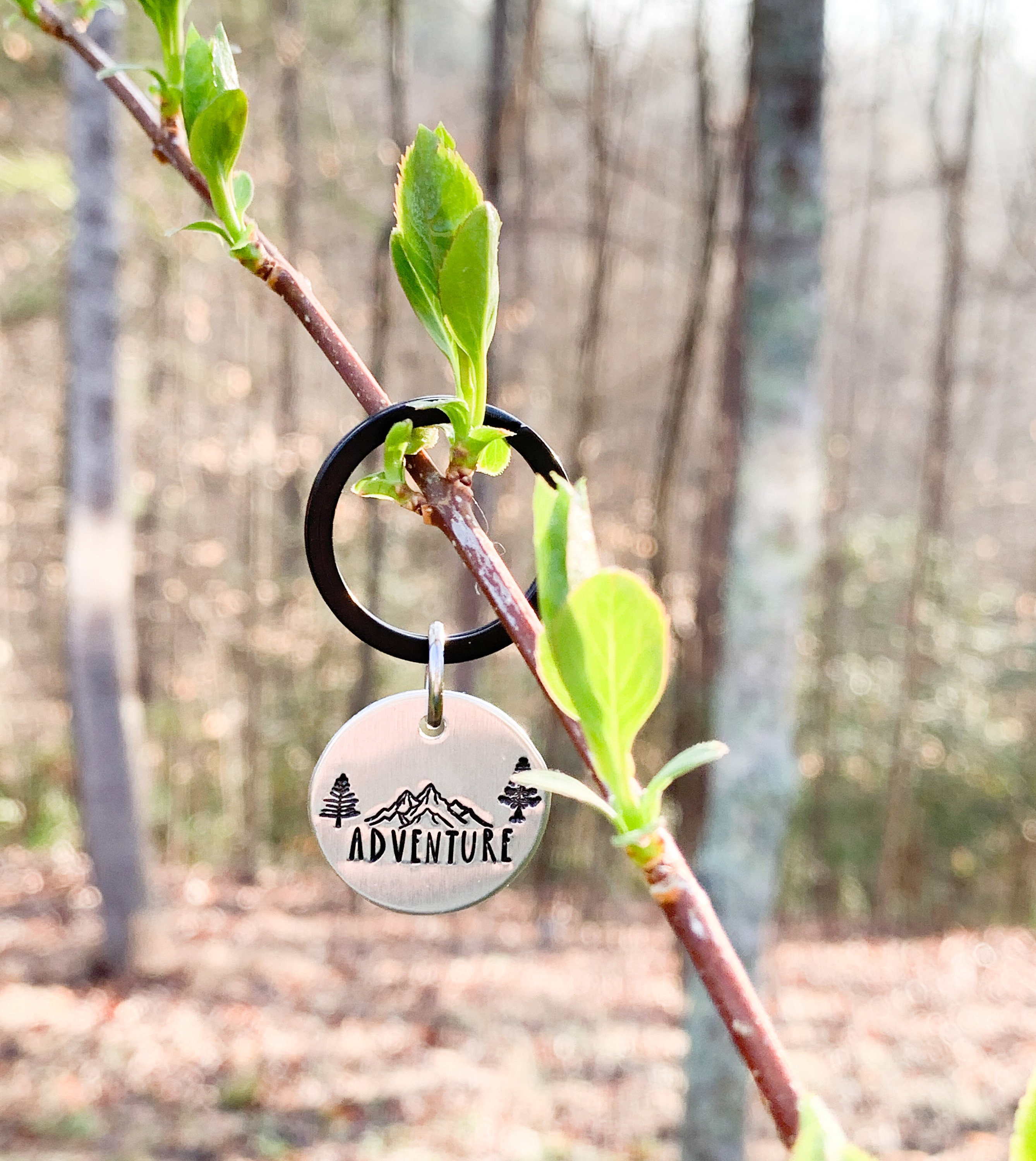 Vail Keychain Adventure Keychain, Mountains Keyring, Hiker Gifts, Mountains Are ...