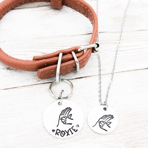 May include: A brown leather dog collar with a silver tag that says "ROXIE" and a paw print. A silver chain necklace with a matching paw print tag is also pictured.