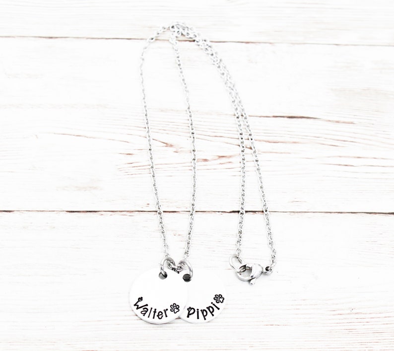 May include: A silver chain necklace with two round silver charms. The charms are engraved with the names "Walter" and "Pippi" and a paw print.
