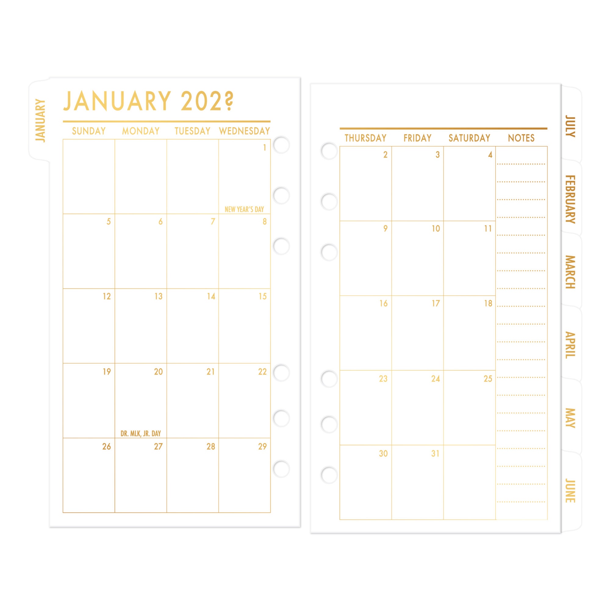 2023 or 2024 TABBED Calendar fits Louis Vuitton Agenda All Szs Bundle:  PM*MM*GM