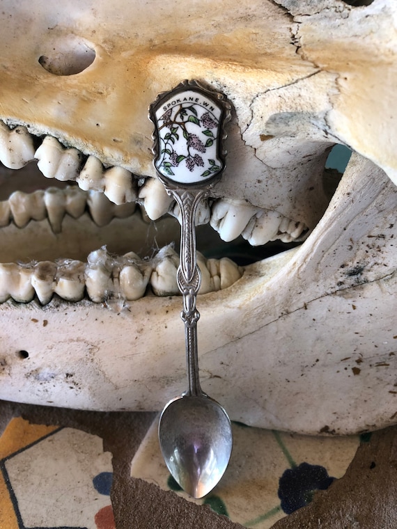 Vintage Silver Spokane Collectors Spoon with Enamel Detail