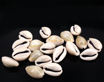 50pc Cowrie Shell, Natural Sea Shell , Money Shell Bead ,  Bulk Shell Beach Loose Bead