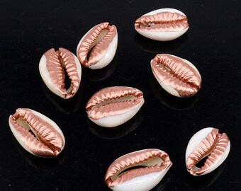 Cypraea Poraria タカラガイの殻 ~ (1/2