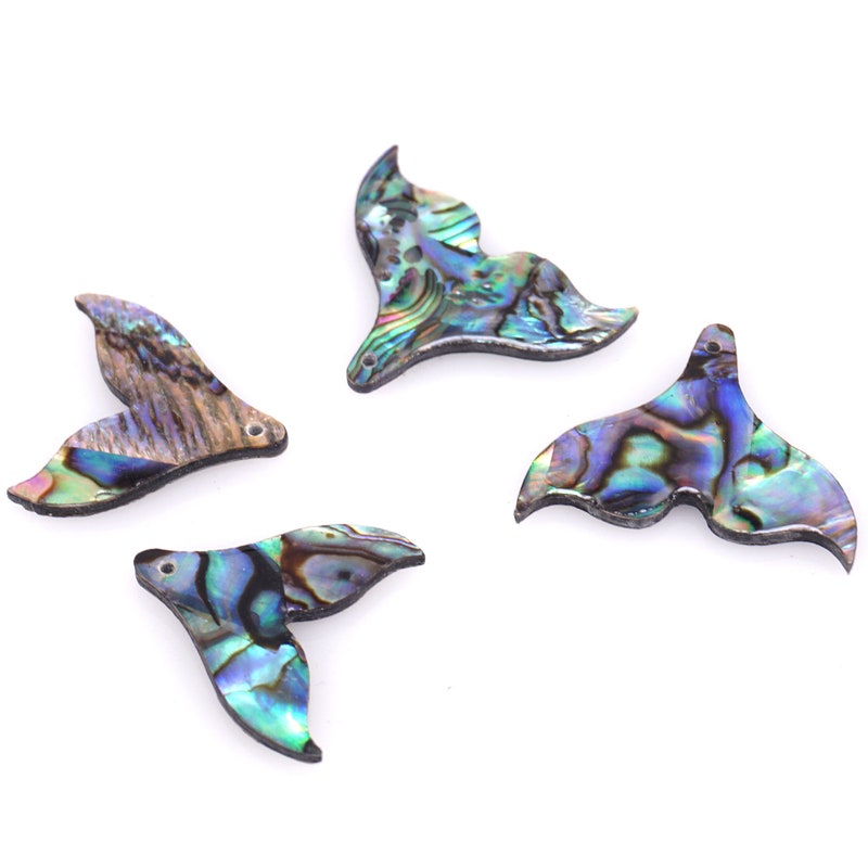 Abalone Shell Beads - Etsy