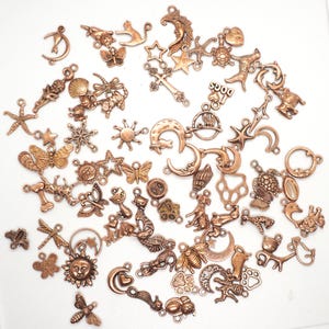 May include: A selection of copper-toned charms in diverse forms, such as butterflies, stars, moons, and animals. The charms are spread out on a white background, highlighting their detailed designs. Some charms feature the word "DOGS".