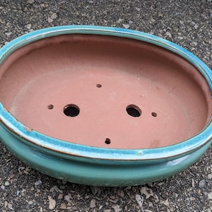 Peut inclure: Un pot à bonsaï en céramique émaillée turquoise avec trois trous de drainage. Le pot est de forme ovale et possède un bord légèrement surélevé.