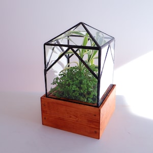 Elias Trap Glass Terrarium