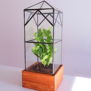 North Tower Terrarium