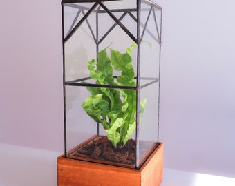 North Tower Terrarium