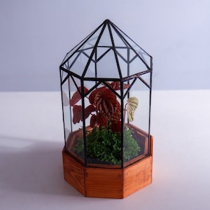 Gazebo Terrarium