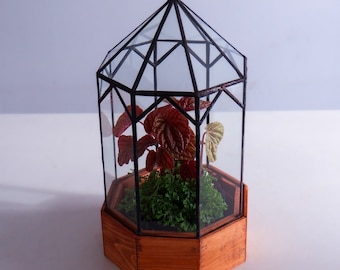 Gazebo Terrarium