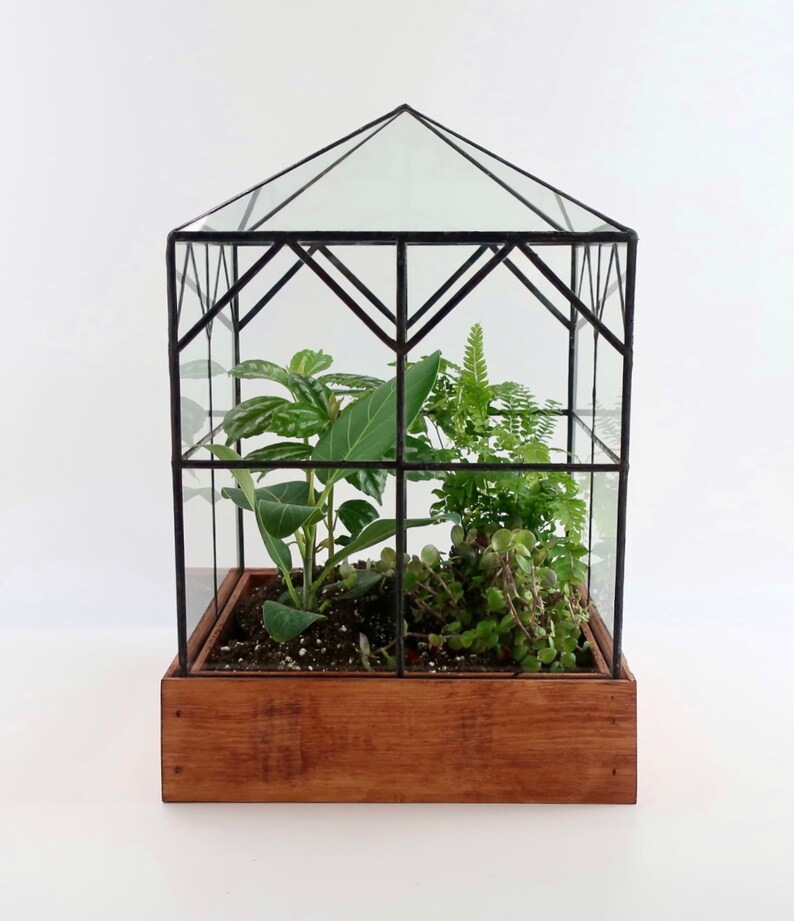 Large Terrarium Glass Etsy UK
