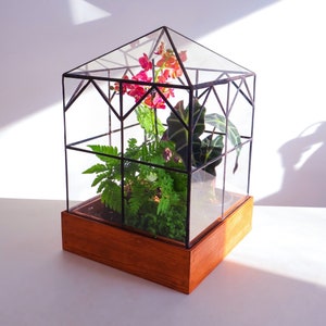 Esau Terrarium