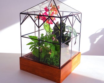 Esau Terrarium