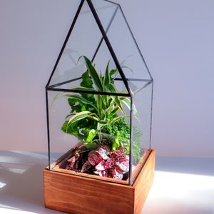 Cape Cod Terrarium