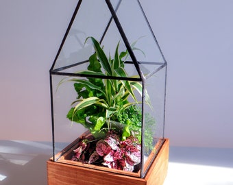 Cape Cod Terrarium