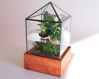 Dorman Terrarium