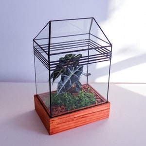 Baret House Terrarium